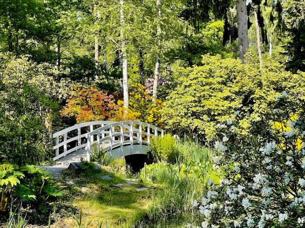 Gardens & Flowers