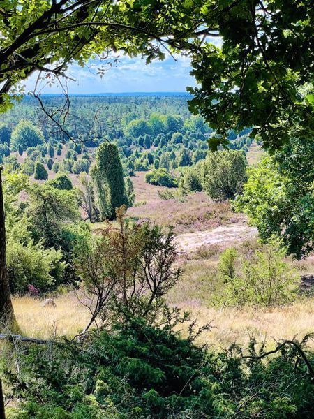 Landscape