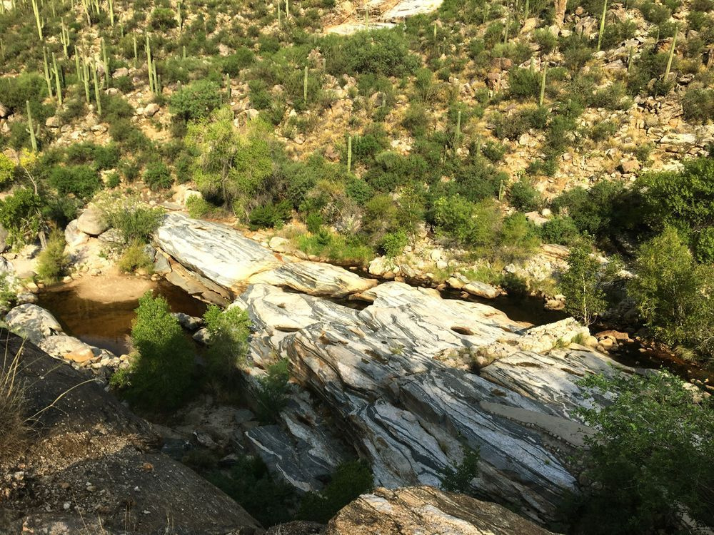Desert Landscapes