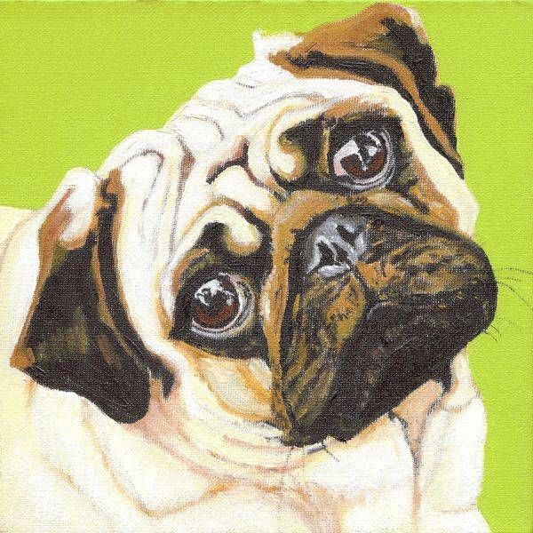 Animal Paintings