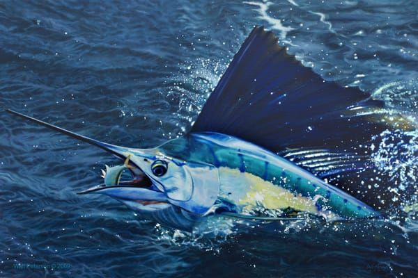 Marine Life