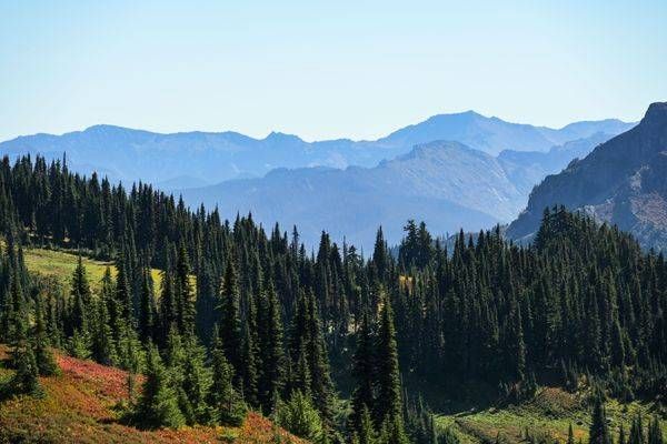 Nature Scenes