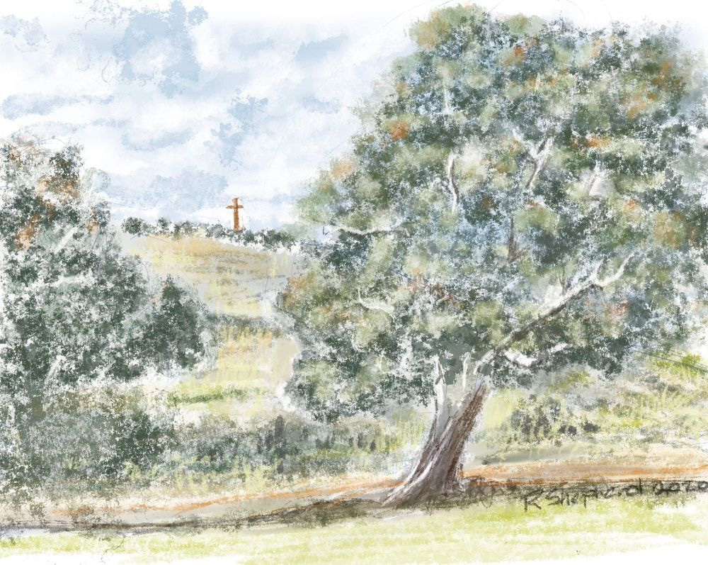 Scenery