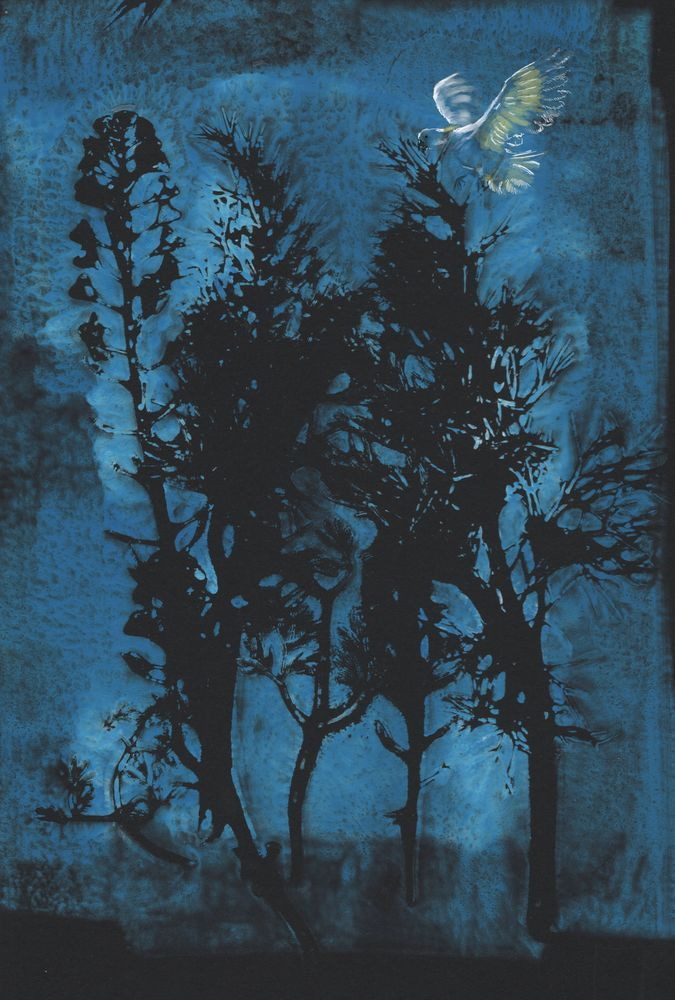Abstract and Design