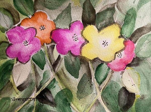 Sun Roses II