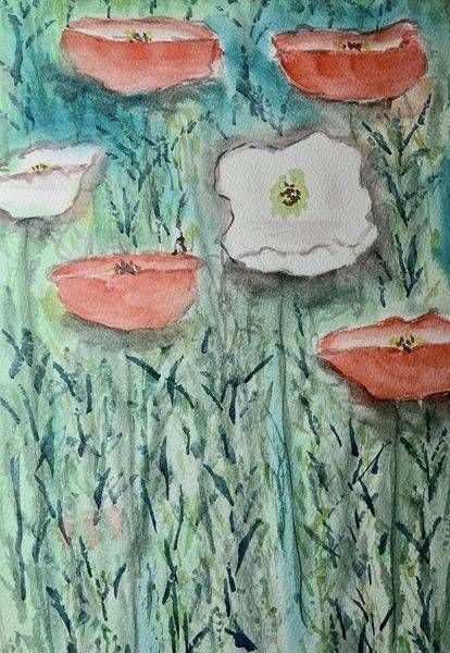 Poppies