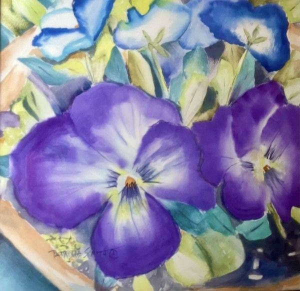 Pansies