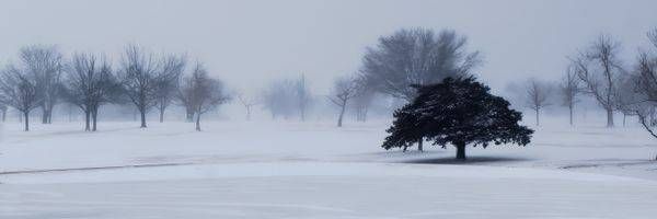 Frozen Pond