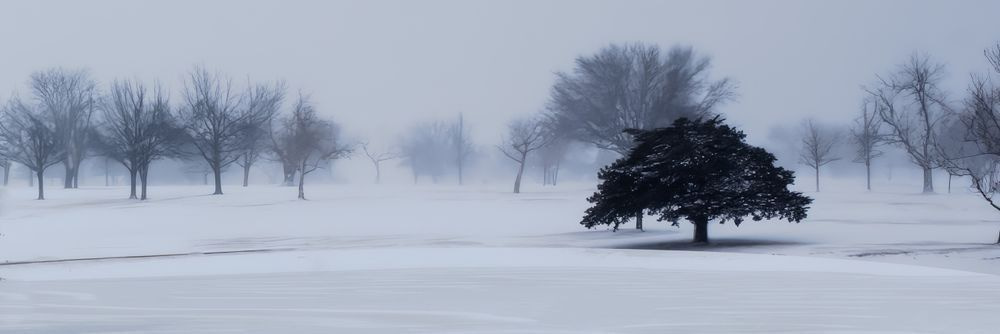Frozen Pond Art | Street Smarts Gallery