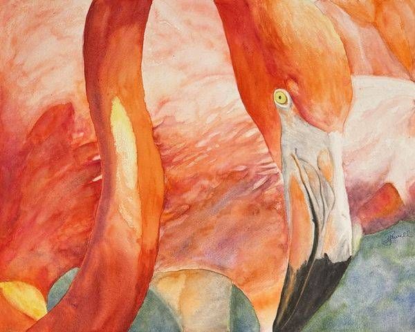 Flamingo