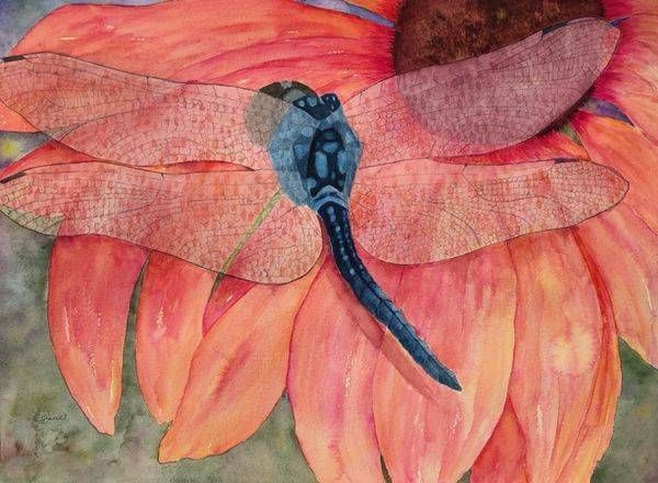 Dragon Fly