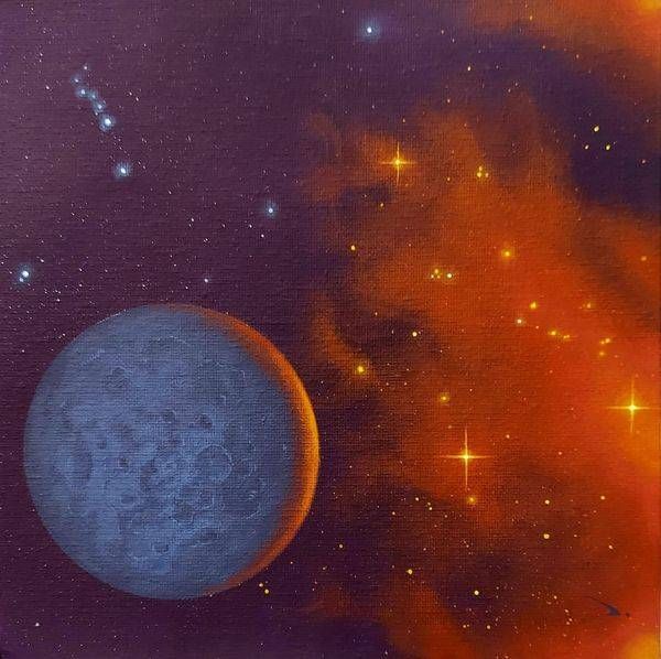 A Wilderness of Stars
