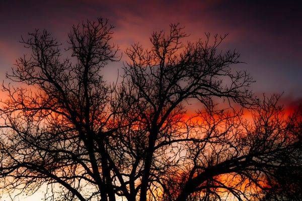 Autmn Sky
