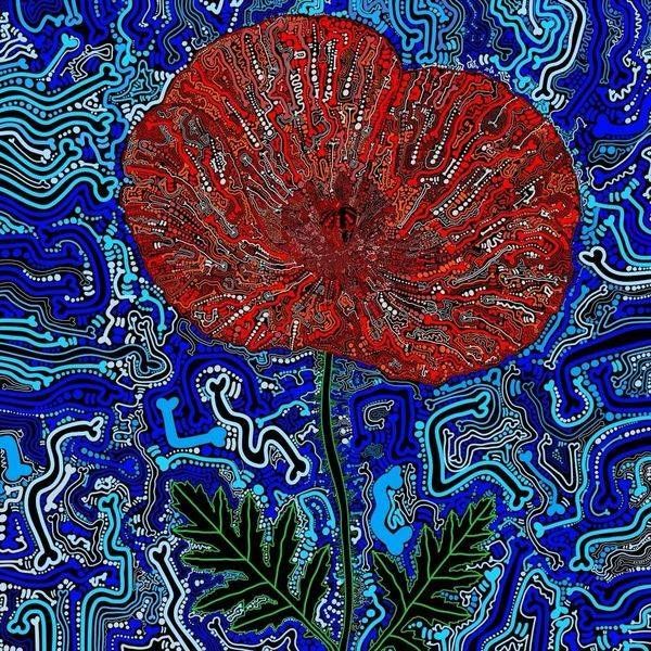 Poppy   Tomorrow’s Harvest Canvas Limited Edition (10) Art | Marc Craig Art Shop
