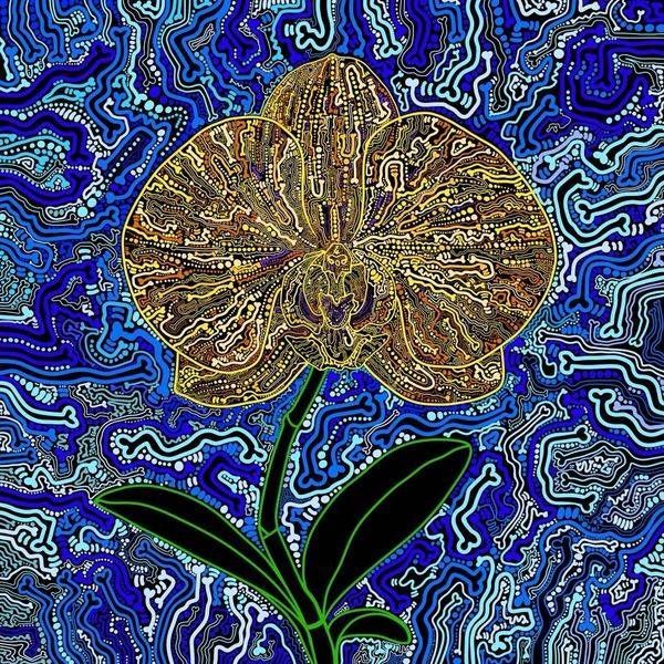 Orchid   Tomorrow’s Harvest Art | Marc Craig Art Shop
