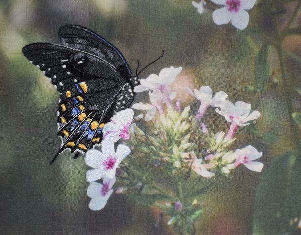 Embroidered Butterflies