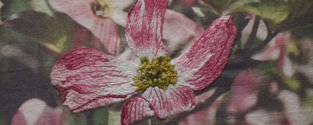 
        <div class='title'>
          Banner1
        </div>
       