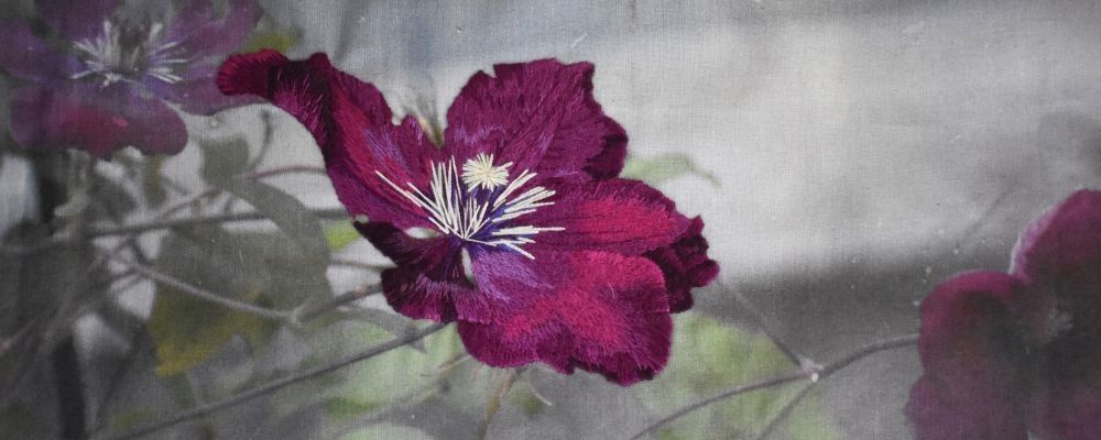 
        <div class='title'>
          Banner
        </div>
       