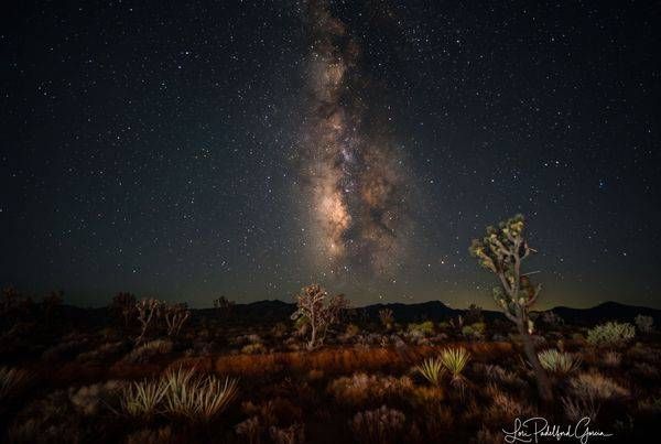 Astrophotography