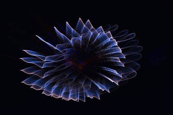Bow
