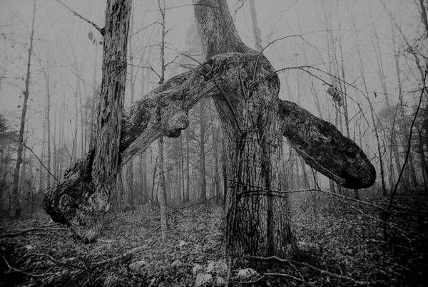 Fallen Geometry