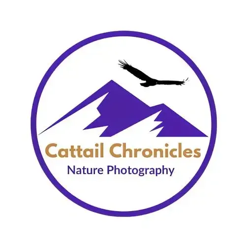 Cattail Chronicles