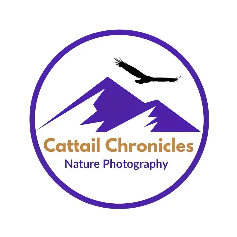 Cattail Chronicles
