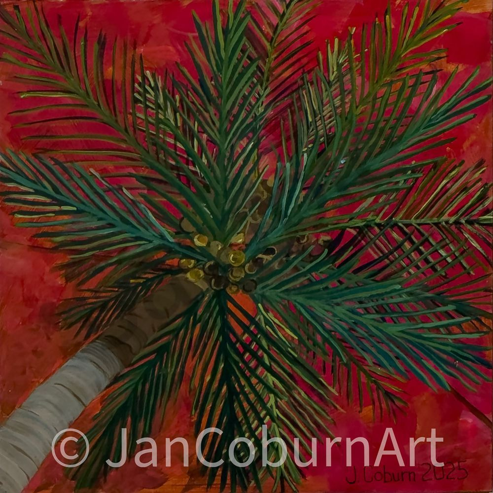 One Palm, Three Stories Red Print Art | Jan Coburn Art