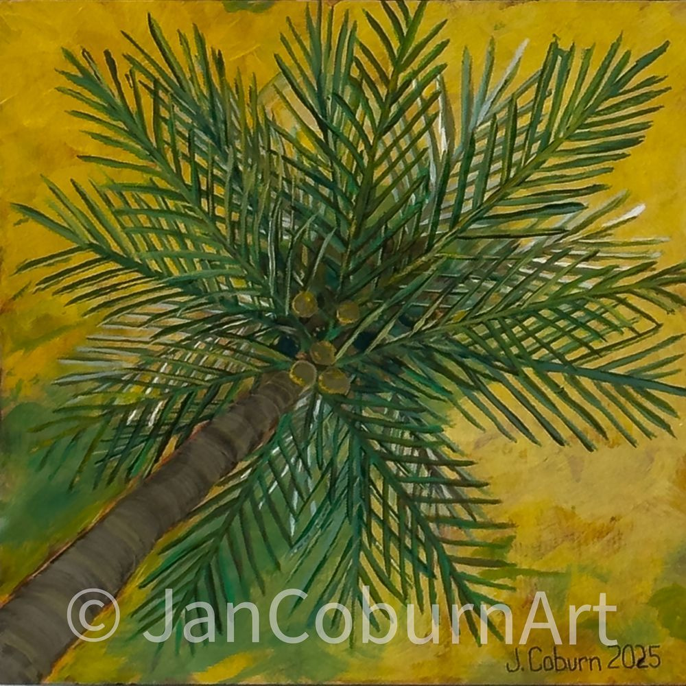 One Palm, Three Stories   Yellow Print Art | Jan Coburn Art