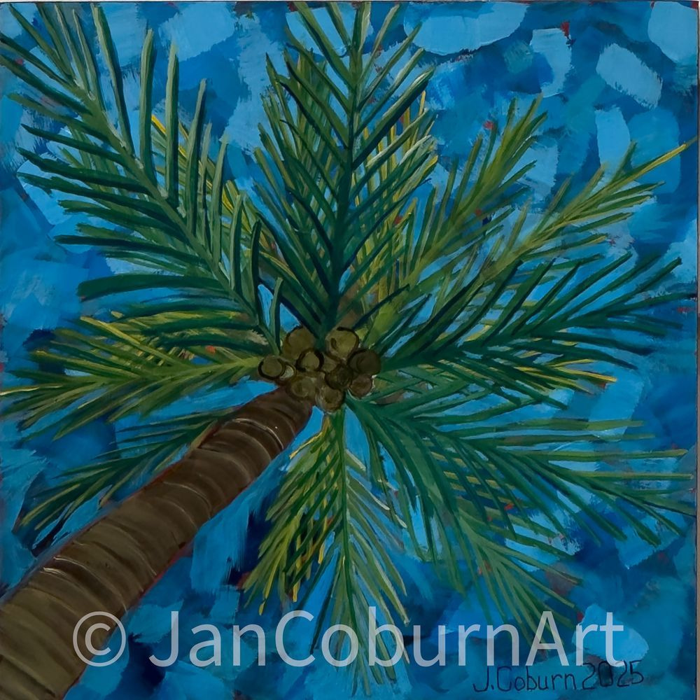One Palm, Three Stories   Blue Print Art | Jan Coburn Art
