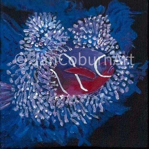 Peaking Out Art | Jan Coburn Art