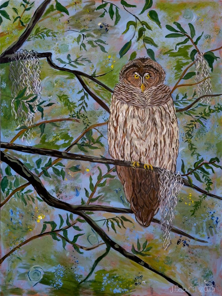 Oliver Of The Oaks Print Art | Jan Coburn Art