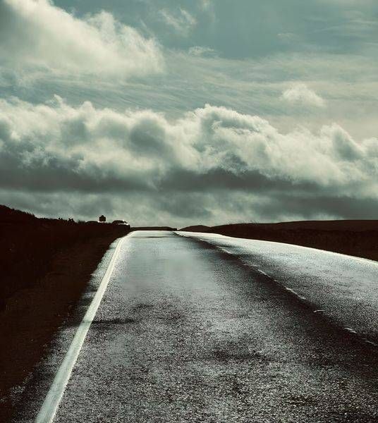 Wet Road Art | Jo Conti