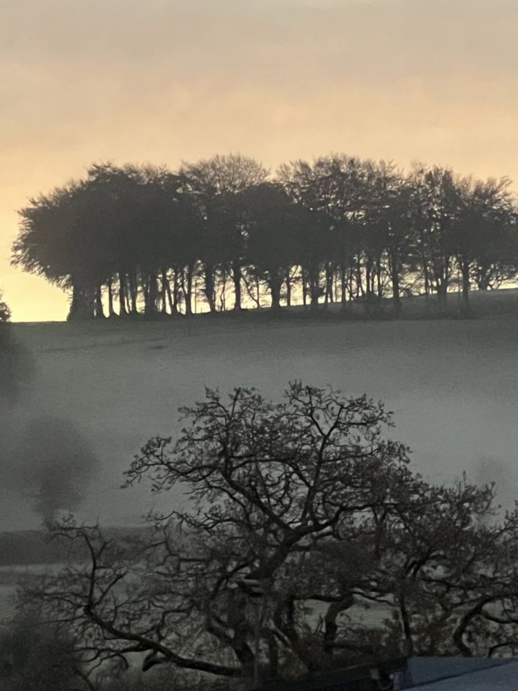 Dawn Art | Jo Conti