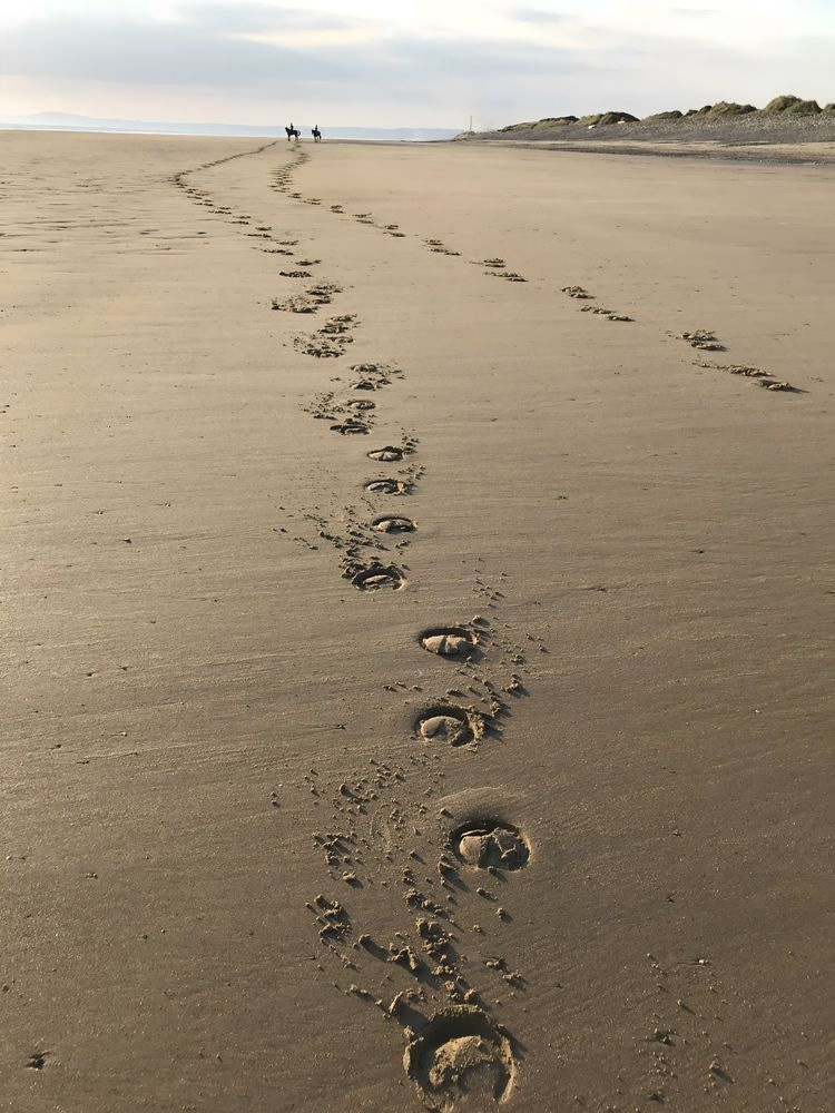 Lines In The Sand Art | Jo Conti