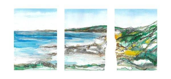 Coastal Landscapes