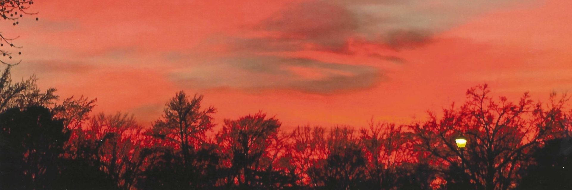 
        <div class='title'>
          Sunset Light
        </div>
       