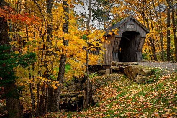 Tannery Hill Bridge Photography Art | Brandon Bishop Photography