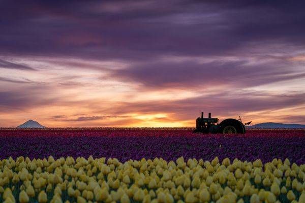 Woodburn Sunrise Photography Art | Brandon Bishop Photography