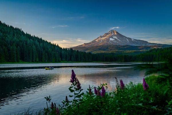 Golden Trillium Photography Art | Brandon Bishop Photography