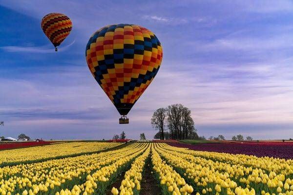 Tulip Balloon Sunrise Photography Art | Brandon Bishop Photography