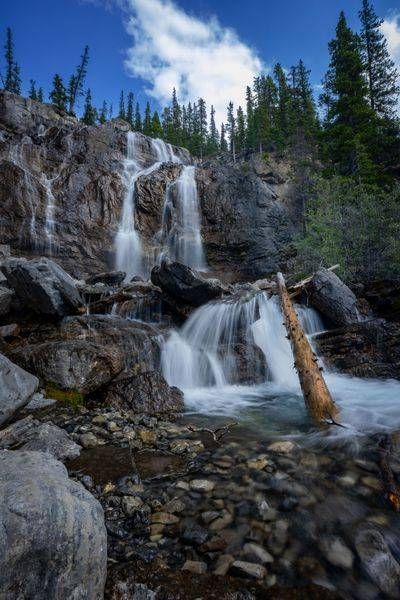 Tangle Creek Photography Art | Brandon Bishop Photography
