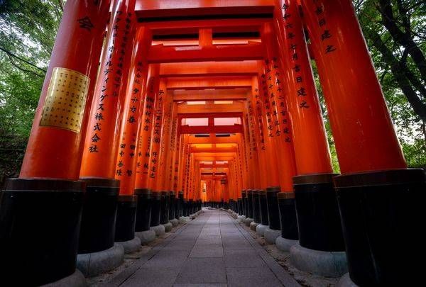 Fushimi Photography Art | Brandon Bishop Photography