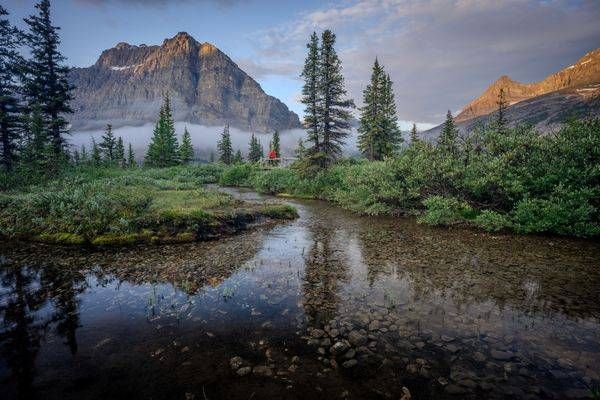 Creek At Bow Lake Photography Art | Brandon Bishop Photography
