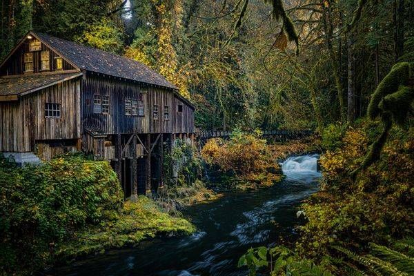 Autumn In Cedar Creek Photography Art | Brandon Bishop Photography