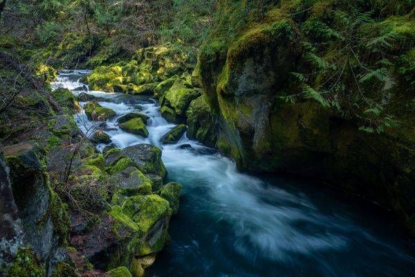 North Umpqua Light Photography Art | Brandon Bishop Photography