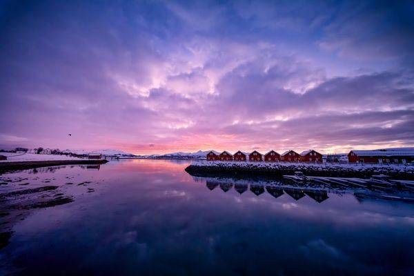 Pink Sky Lofoten Sunrise Photography Art | Brandon Bishop Photography