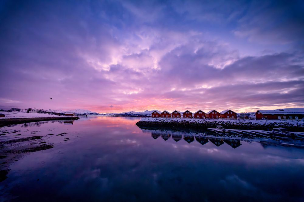 Pink Sky Lofoten Sunrise Photography Art | Brandon Bishop Photography