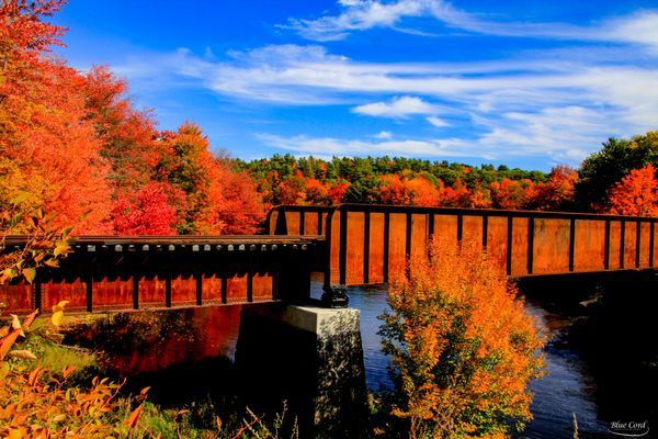 Fall