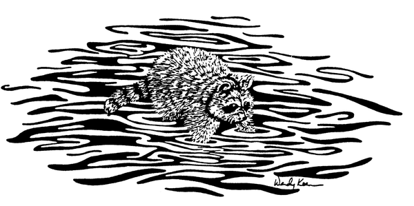 Woodblock Prints
